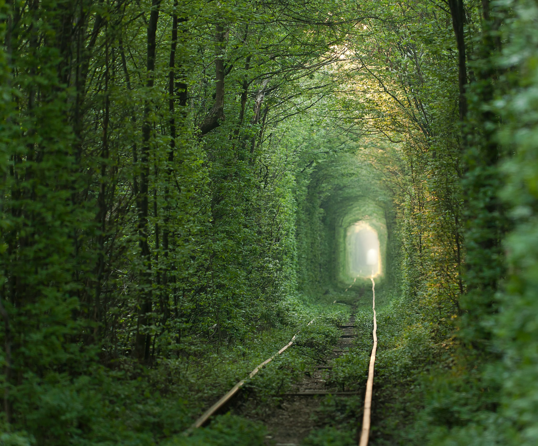 Tunnel Of Love Ukraine 83 Unreal Places You Thought Only Existed In