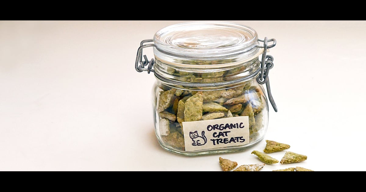 Homemade Organic Cat Treats POPSUGAR Pets