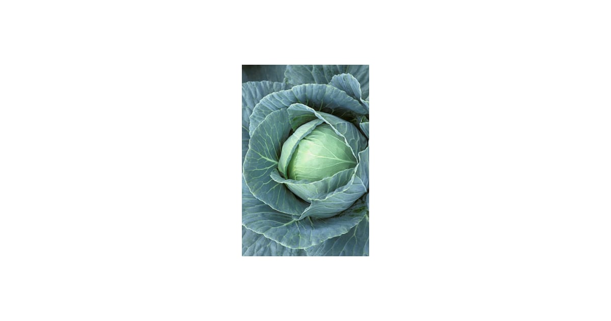 Cabbage and Your Breasts POPSUGAR Fitness