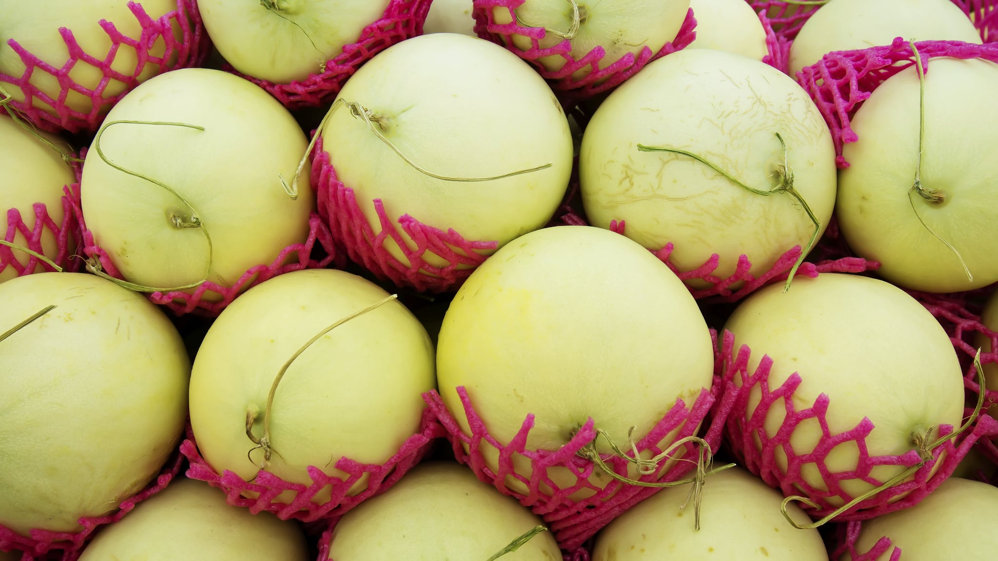 Honeydew Melon From Apples to Zucchini Your Seasonal Produce Guide