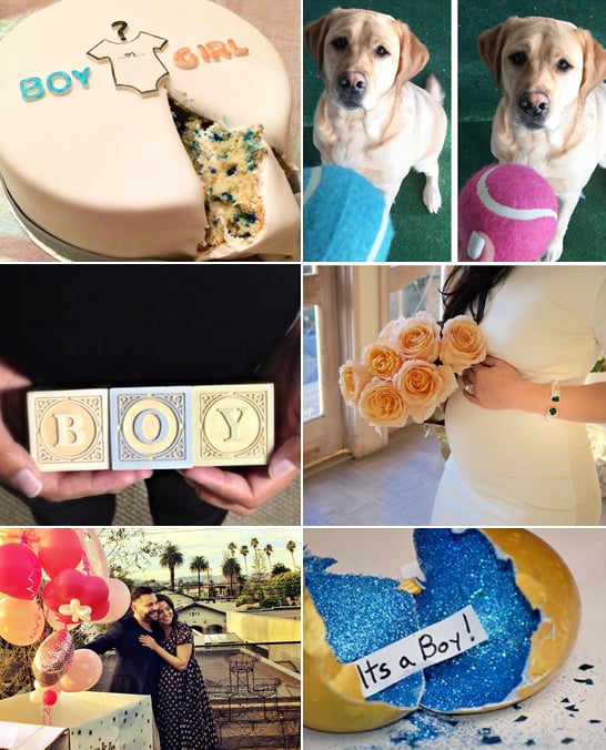 How to Reveal Your Baby's Gender POPSUGAR Moms