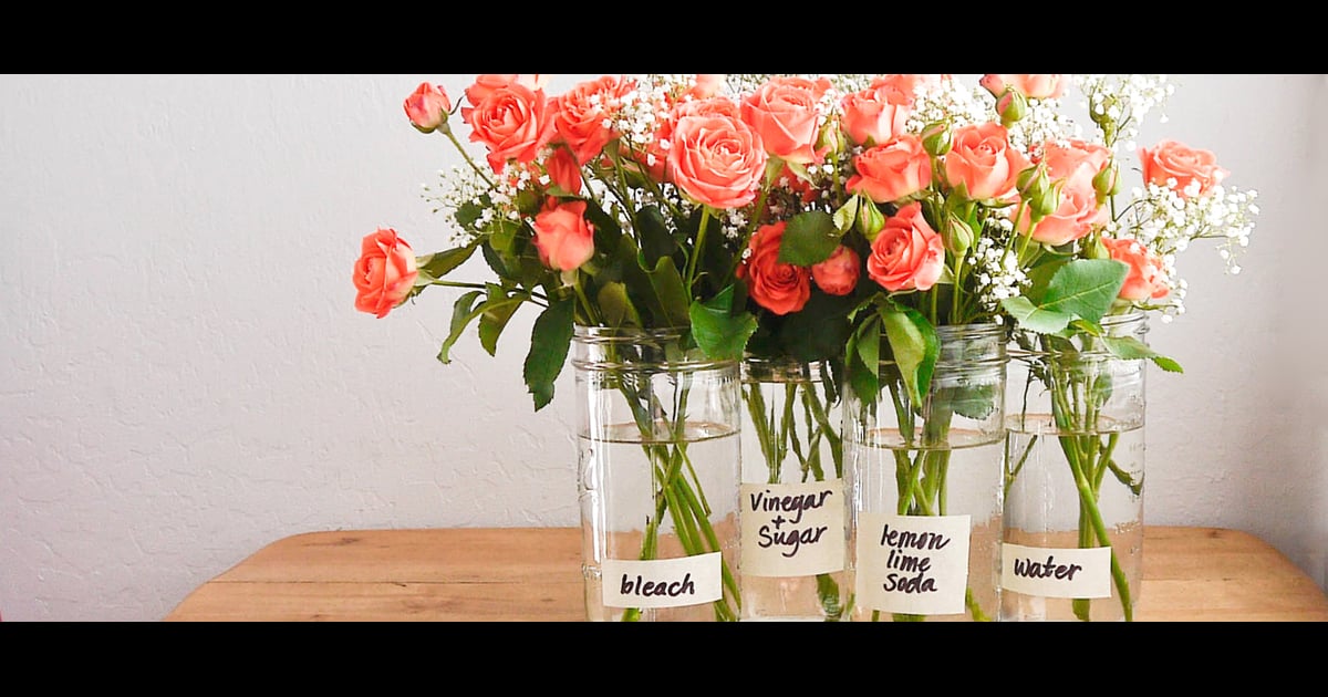 How to Make Flowers Last Longer POPSUGAR Smart Living