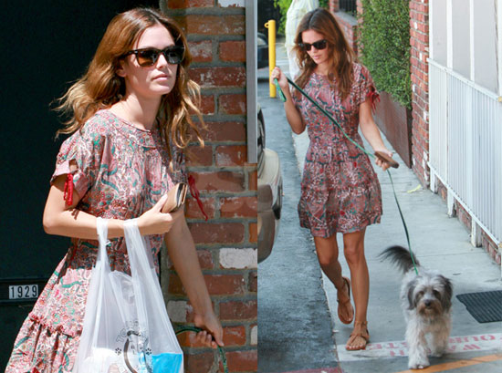Photos of Rachel Bilson Out in LA with Her Dog Thurman Murman Photos of Rachel Bilson Out in LA with Her Dog Thurman Murman