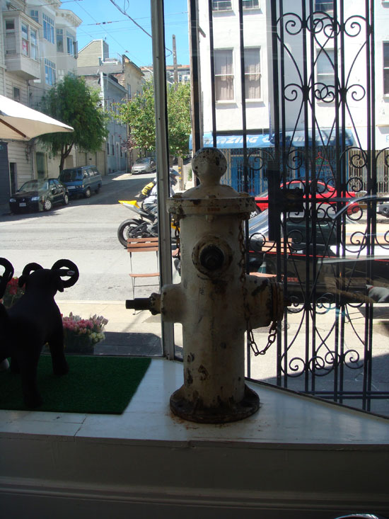 Image Image