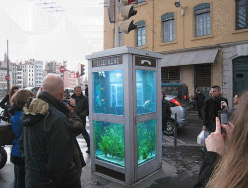 Image Image