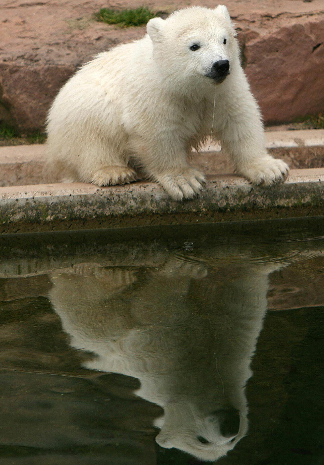 Image Image