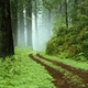 Trailtrodder Trailtrodder