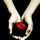 heart3000 heart3000