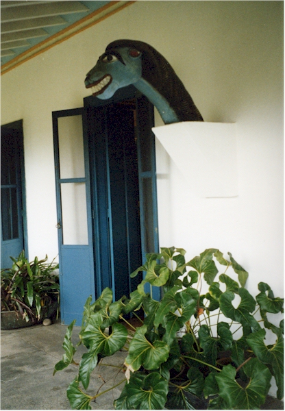 Image Image