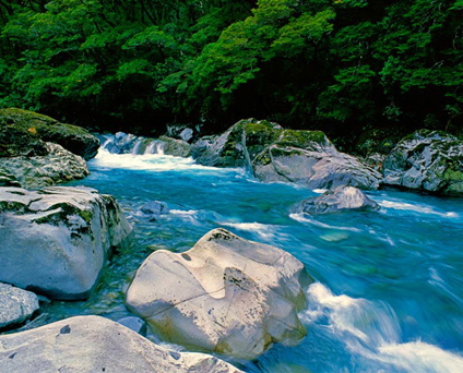 Image Image