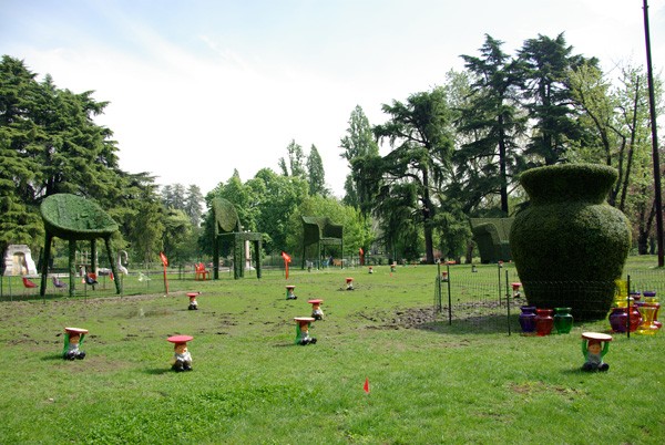 Image Image