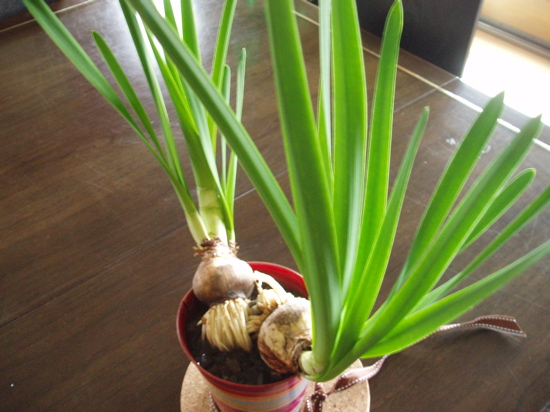 Image Image