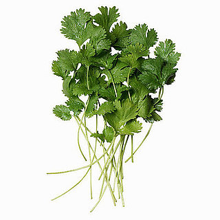 Cilantro Poll Cilantro Poll