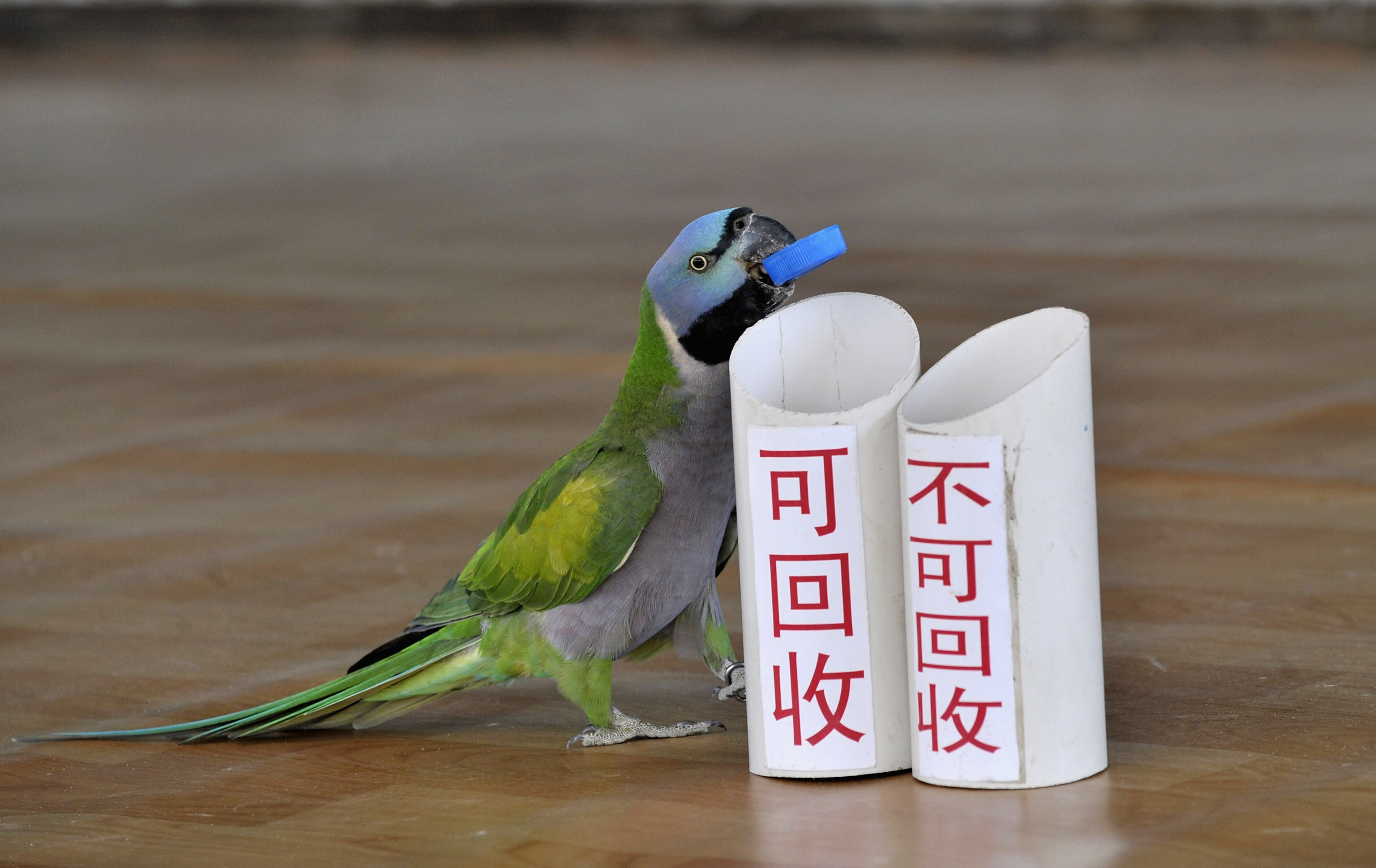 Image Image