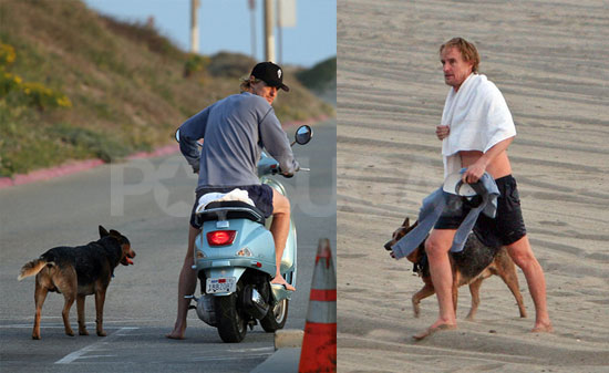 Owen Vespas to Exercise the Dog Owen Vespas to Exercise the Dog