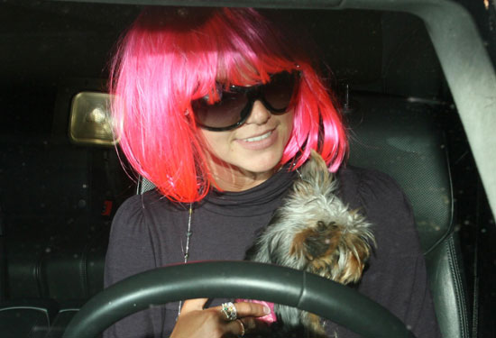 Britney's Booked Baby! Britney's Booked Baby!