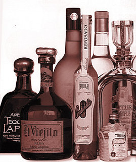 Salud! It's National Tequila Day! Salud! It's National Tequila Day!