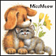 MissMeow MissMeow