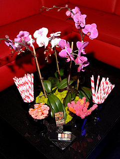 See It: Vanessa Minnillo & Flirt! Cosmetics See It: Vanessa Minnillo & Flirt! Cosmetics