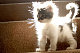 4evrfuzzy 4evrfuzzy