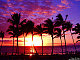 TidalWave23 TidalWave23