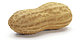 PEANUT-85 PEANUT-85