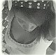 chailce06 chailce06