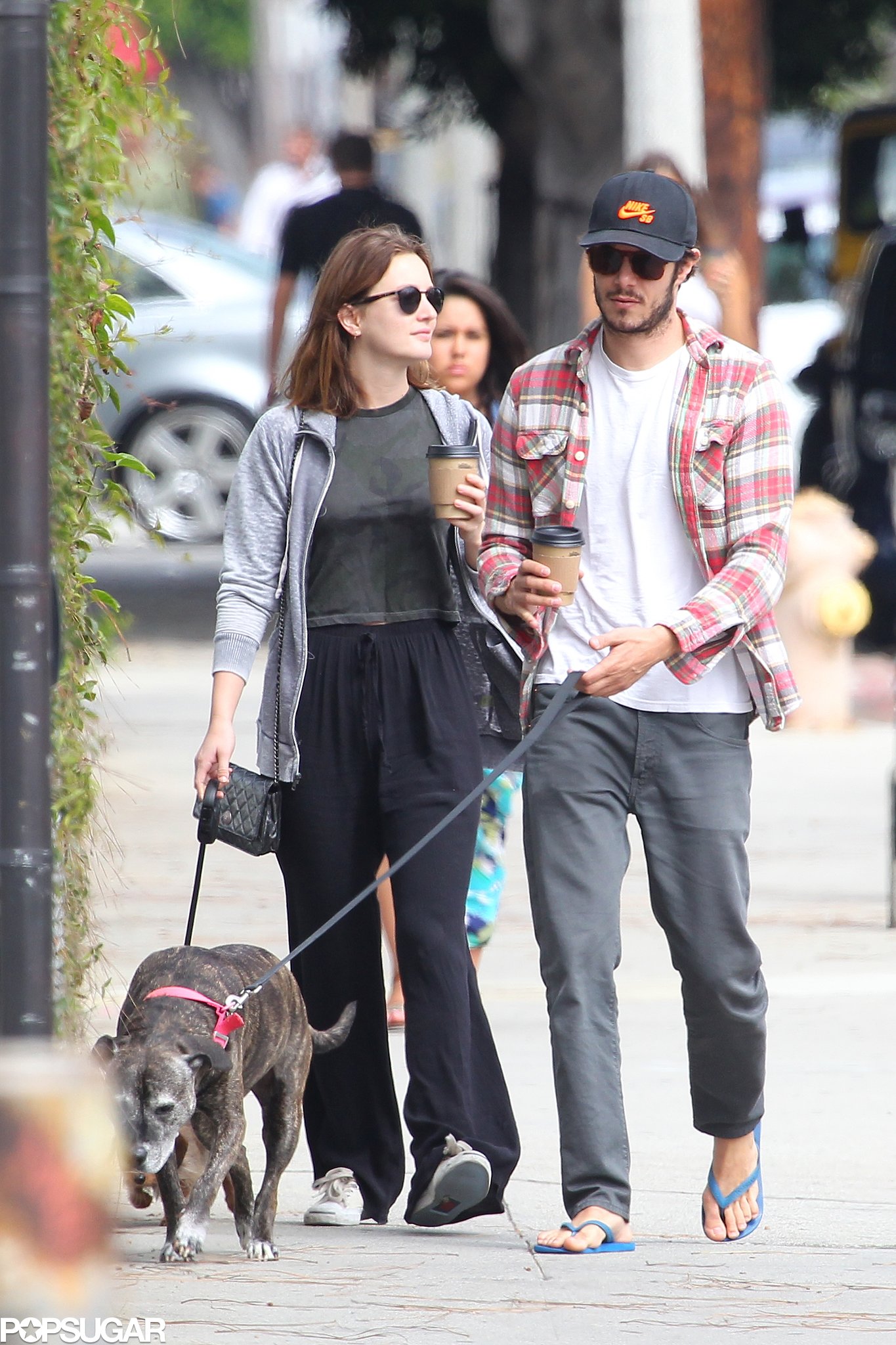 Adam Brody and Leighton Meester Walking Their Dogs in LA | POPSUGAR ...