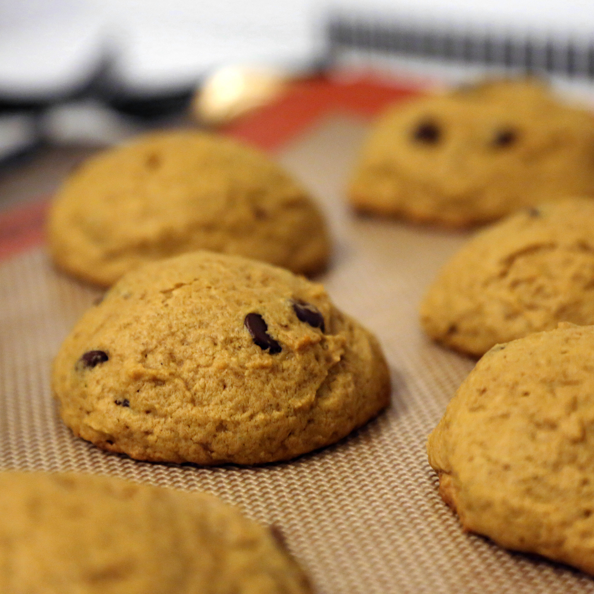 Pumpkin Chocolate Chip Cookie Recipe  POPSUGAR Food