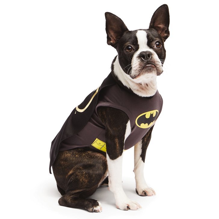 Batman | Avengers Assemble! We've Got All the Superhero Costumes Your ...