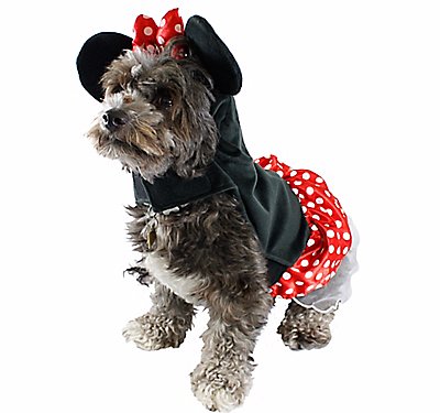 Disney Dog Costumes | POPSUGAR Pets