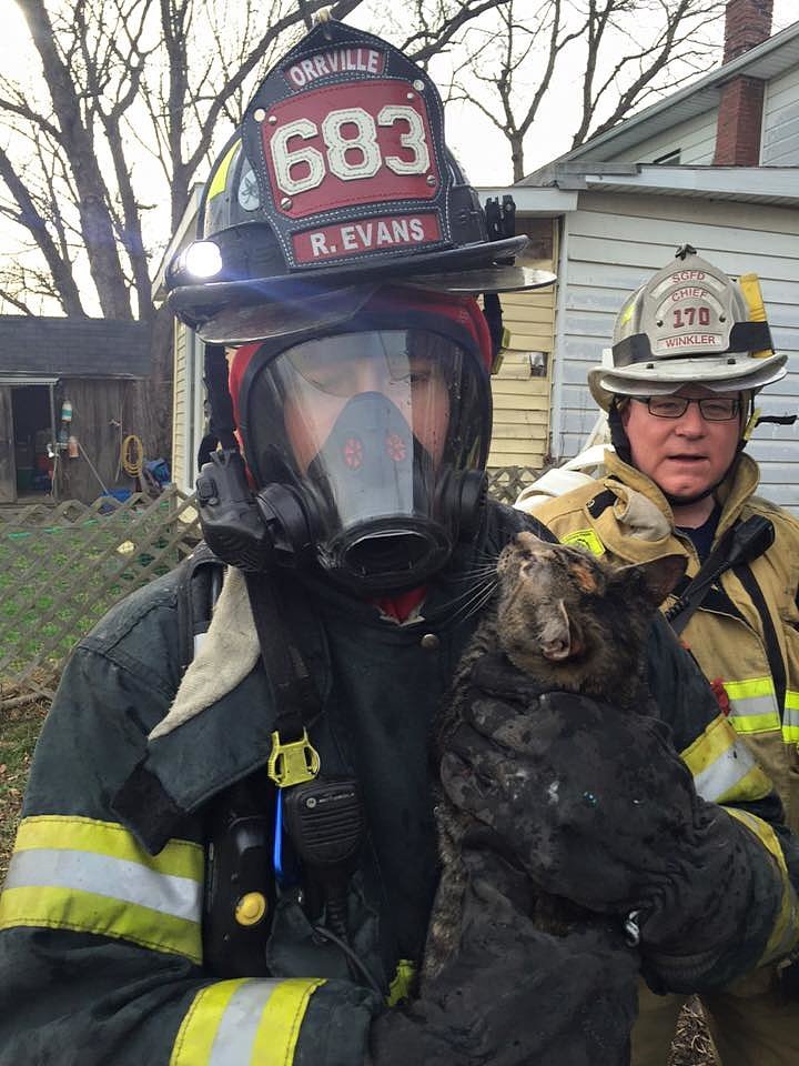 Firefighters Rescue Cats From House Fire | POPSUGAR Pets