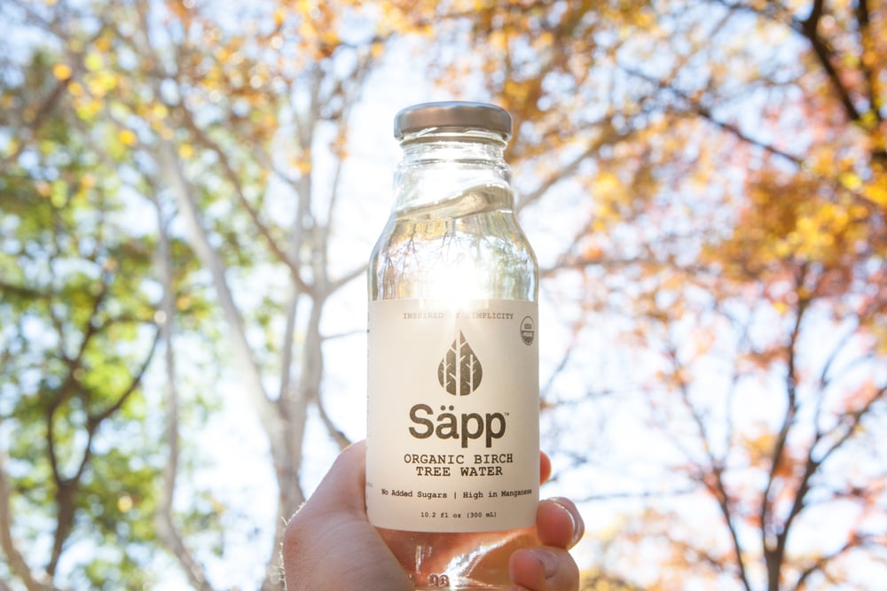 What Is Birch Water? POPSUGAR Fitness