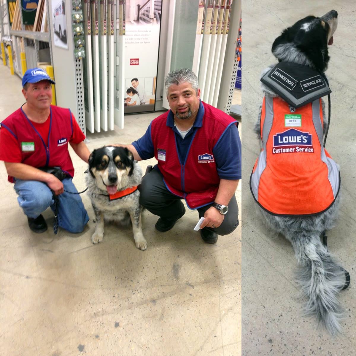 Lowe's Hires Man and Service Dog POPSUGAR Pets