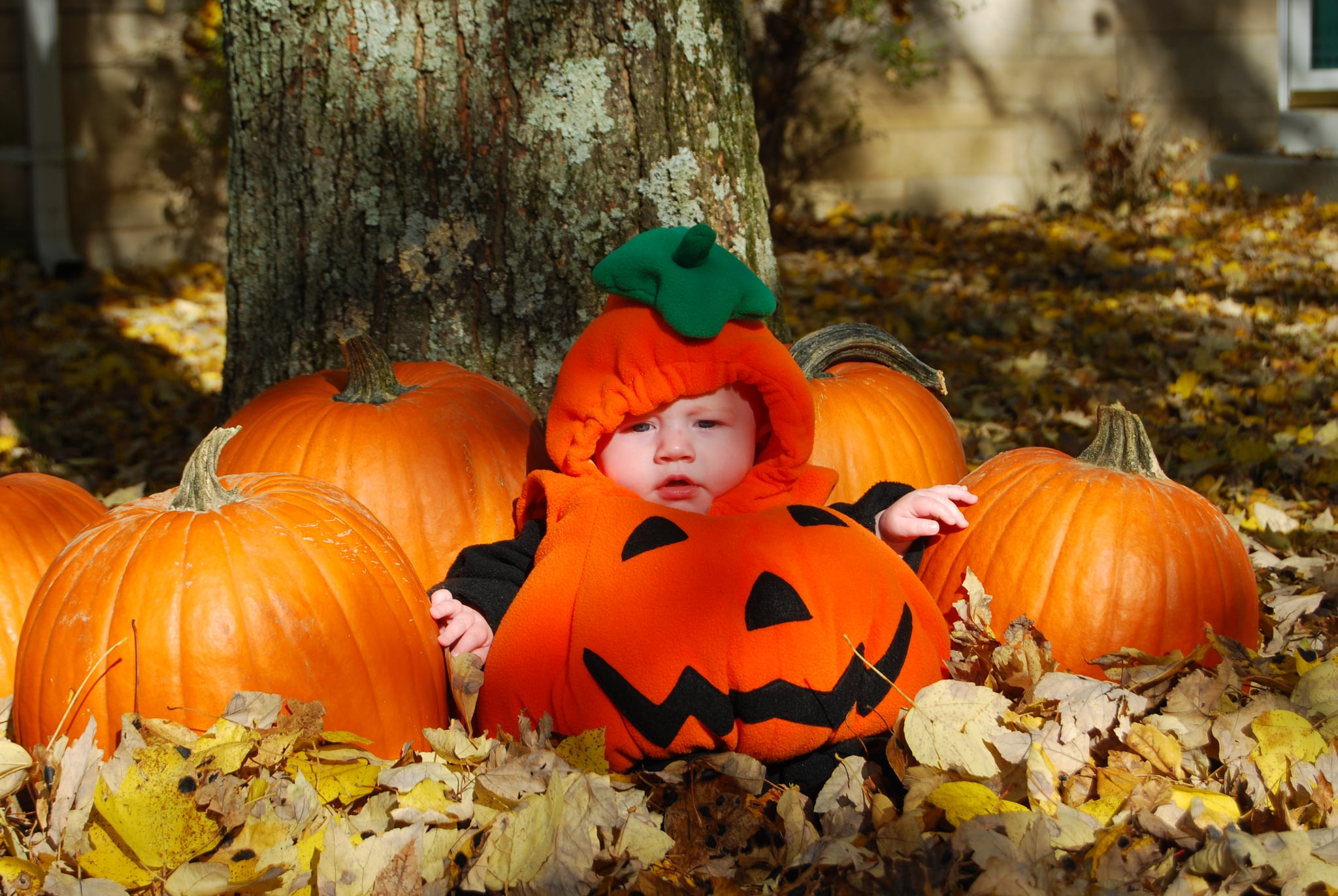 Halloween Baby Names Popsugar Moms
