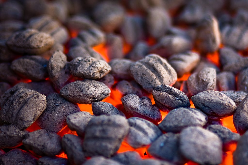 How to Recycle and Dispose of Grilling Charcoal POPSUGAR Food